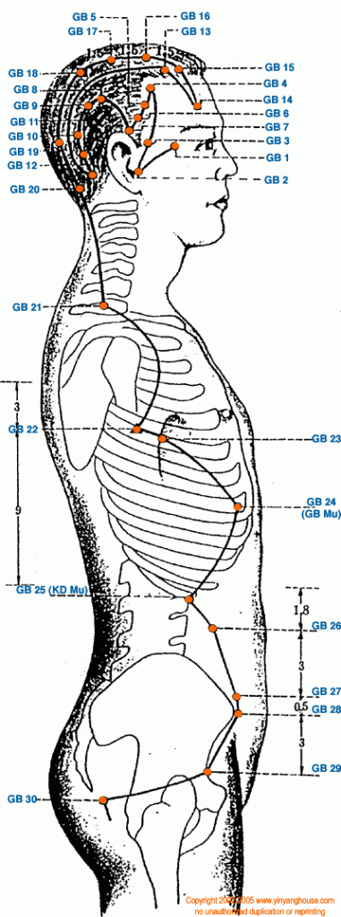 SAFRA KESESİ MERİDYENİ (GB) – 44 NOKTA