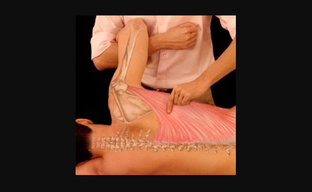 Myofascial release techniques