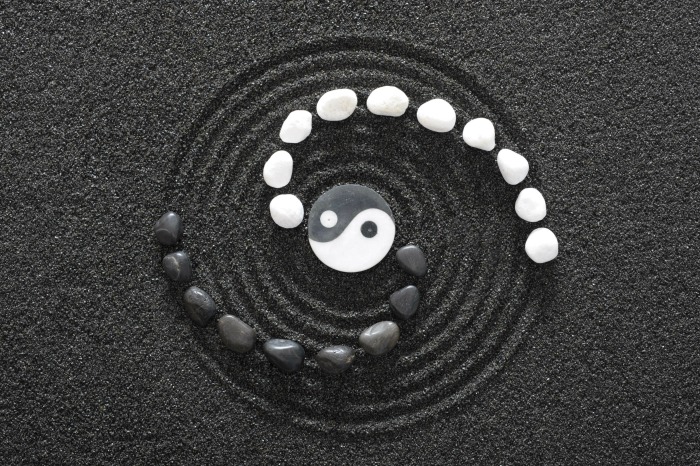 yin yang theory
